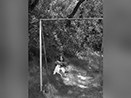 Swinging in unison with nature-Tassajara Buddhist Monastery Sulphur Springs resort-Ventana mountains,CA 2008