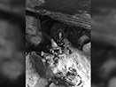Meditating inside cave where sage Ramana Maharishi used to meditate and many ascetics and yogis do even…