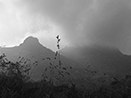 Lower peak of Arunachala Shiva Mountain seen while circumambulation 2015