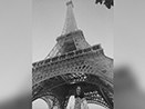 Shimmering as pure gold - Evening at the The Eiffel Tower-Paris 2014